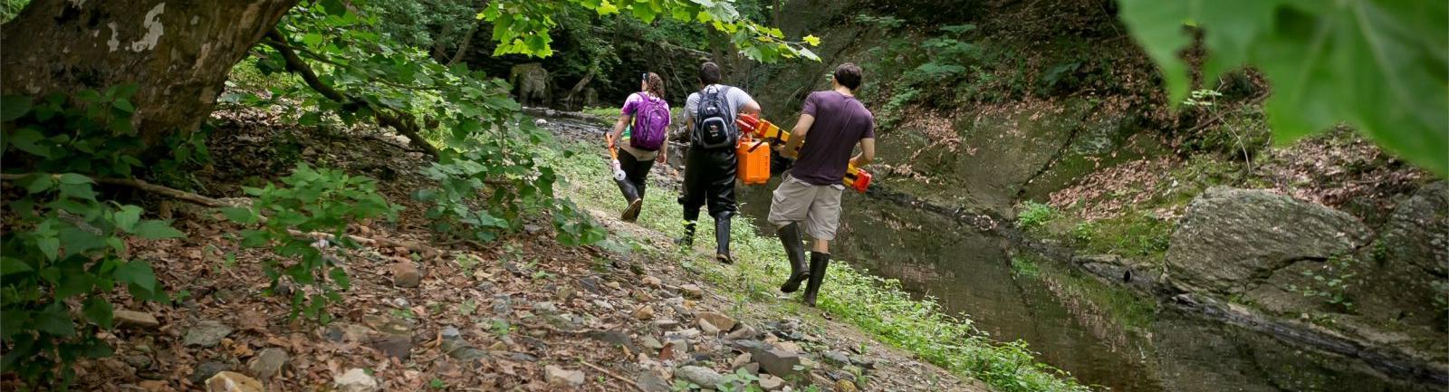 Three Temple students walking along a creek, carrying equipment.